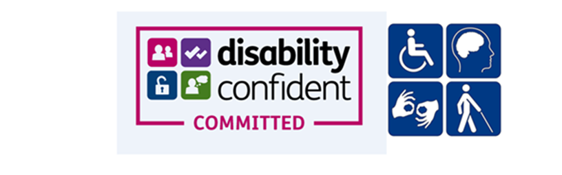 Disability (including Learning Disability) Disability (including Learning Disability)