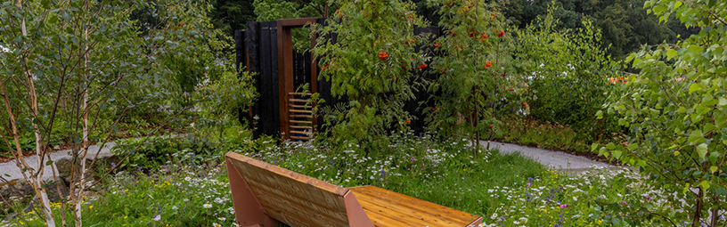 Award winning RHS garden donated to WUTH to celebrate 75 years of the NHS Award winning RHS garden donated to WUTH to celebrate 75 years of the NHS